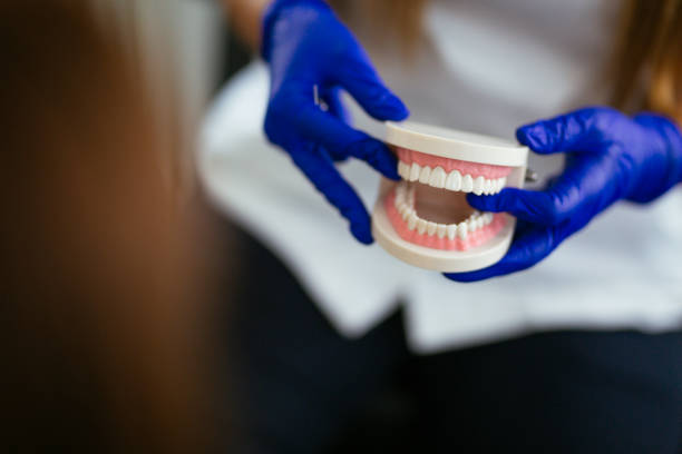 Best Traditional Braces  in Greenville, MS