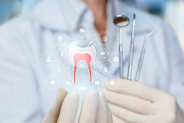 Why Choose Us for Your Dental Needs in Greenville, MS